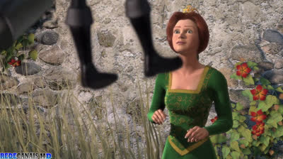 SHREK 1