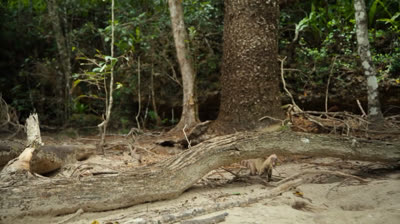 Survivig Earth episodie 4 full