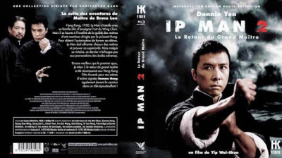 ip man (2008)